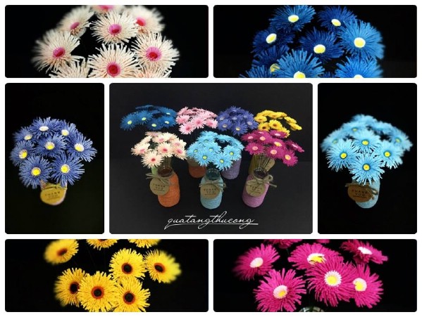 Ý nghĩa của hoa cúc