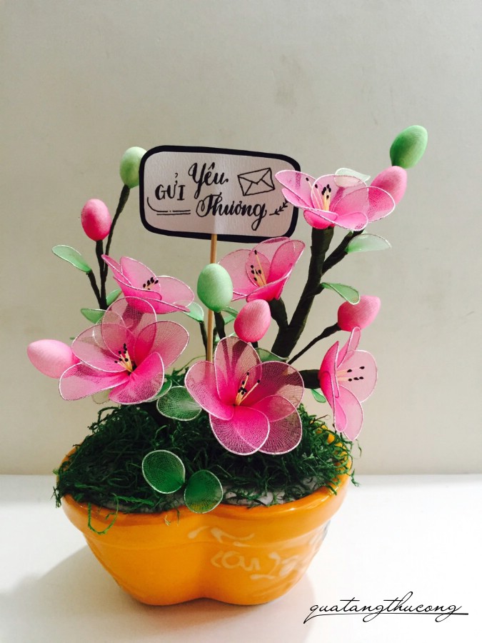 Chậu Hoa Voan Mẫu 5