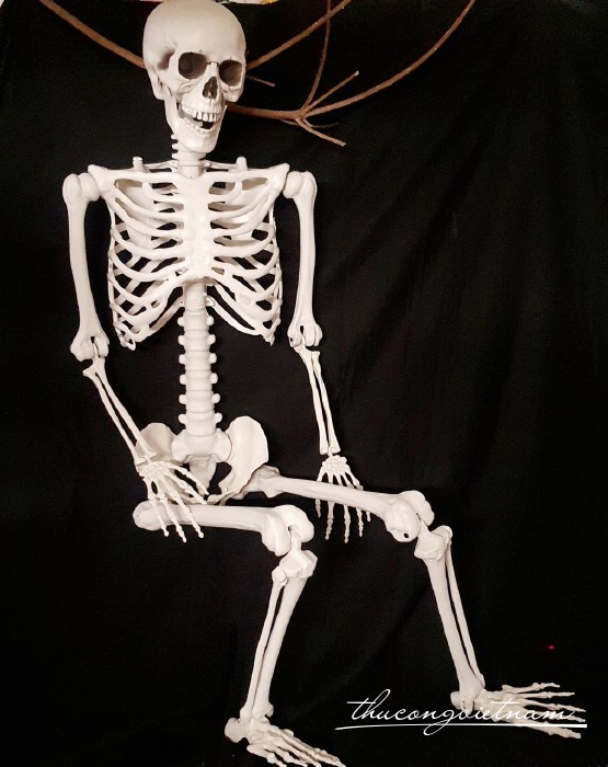 Bộ xương trang trí Halloween 170cm