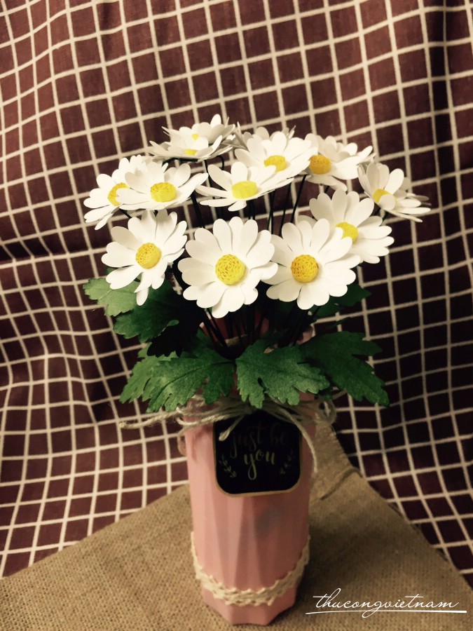 Ý nghĩa của một số loài hoa - giúp bạn chọn quà ngày 20/11