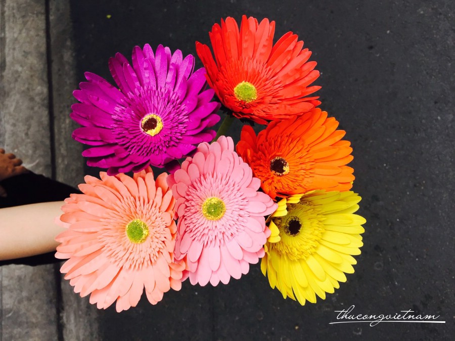 Tổng Hợp Các Kit Hoa 