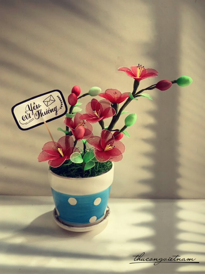 Chậu hoa voan mẫu 3