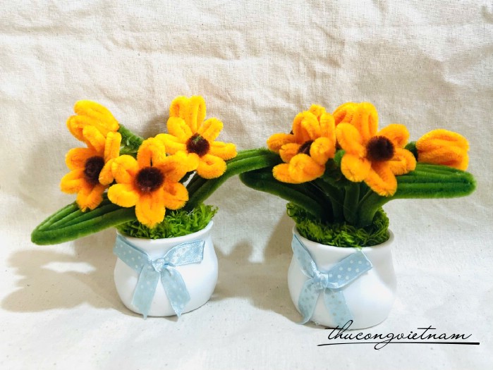 Chậu hoa kẽm nhung (mẫu ngẫu nhiên)